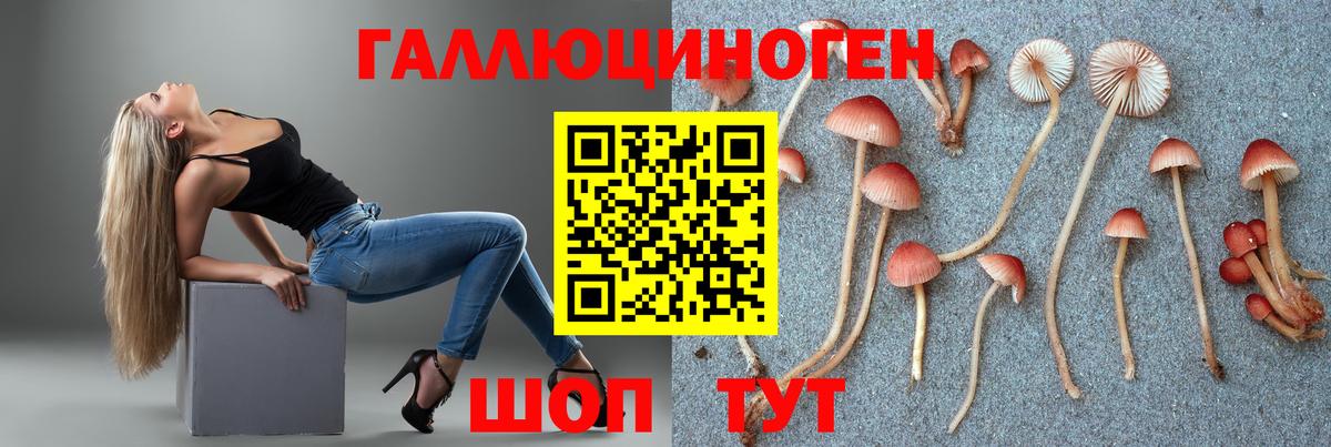 Псилоцибиновые грибы мухоморы Кольчугино